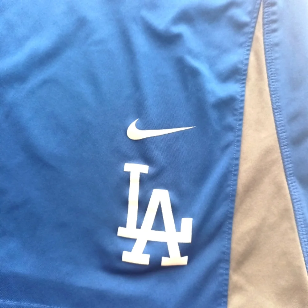 Nike Dri-Fit LA Color Block Blue/Gray Shorts Size Large